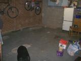 Cleared one side of the garage to do a dry sweep to get dust and dirt out.